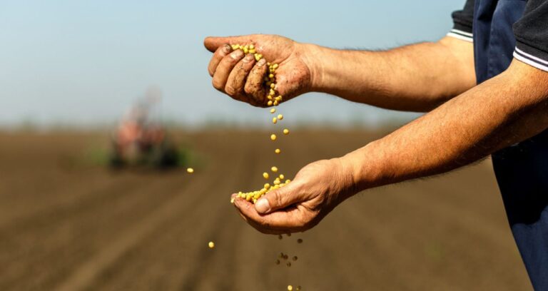 seguro-rural:-custo-ou-investimento?-–-tempos-de-dinheiro
