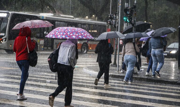 folhas-de-chuva-pesadas-sp-em-estado-de-atencao-e-causam-blecaute-em-68-mil-propriedades
